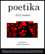 2012 Poetika Anketi